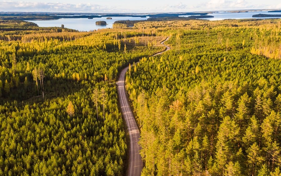 news-600-1 ScreenShot_2025-11-17_105731_208